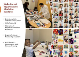 WFIRM Residency 2020 Project